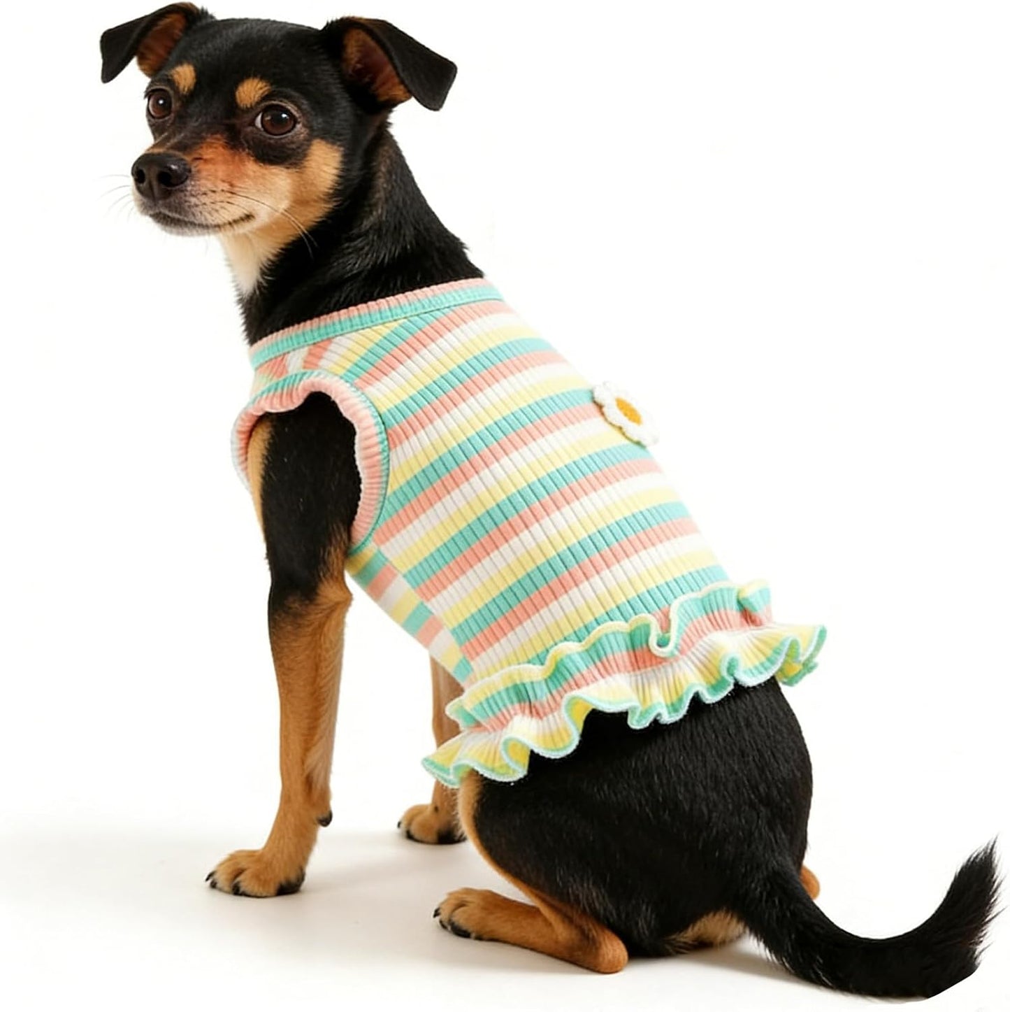 2 Pack Dog Clothes for Small Dogs Cats Cotton Rainbow Striped Dog T Shirt with Ruffled Hem, Soft Breathable Puppy Vest Spring Summer Pet Tank Tops, Sunflowers S