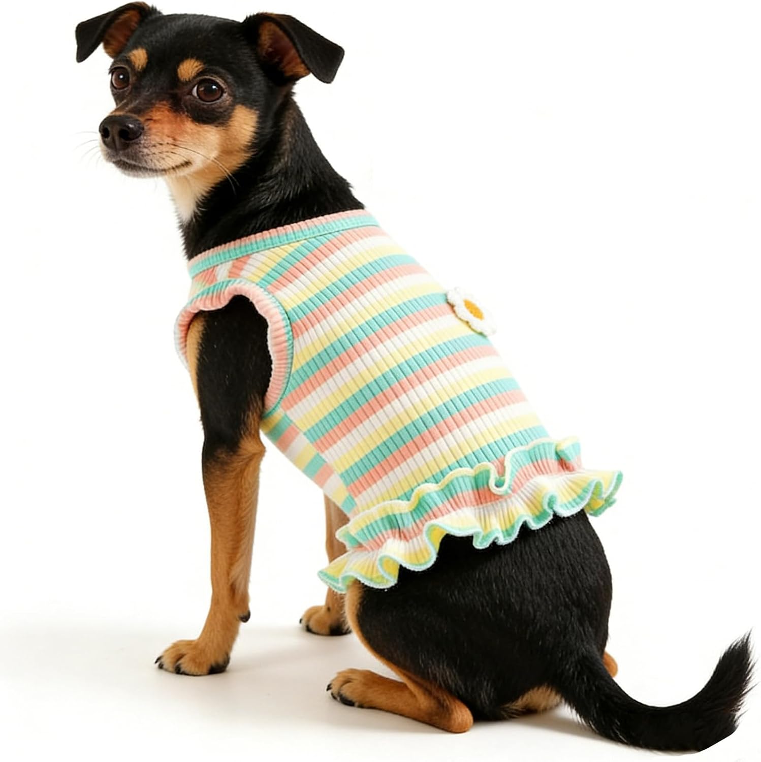 2 Pack Dog Clothes for Small Dogs Cats Cotton Rainbow Striped Dog T Shirt with Ruffled Hem, Soft Breathable Puppy Vest Spring Summer Pet Tank Tops, Sunflowers S