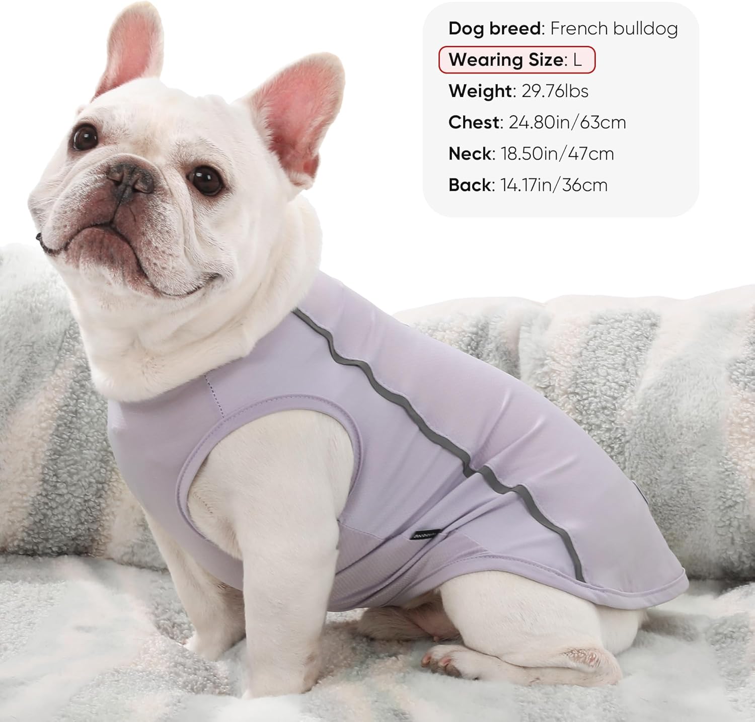 3Pack Sunblock Dog Shirt Breathable Reflective Dog T-Shirt Lightweight Sun Protection Sleeveless Dog T Shirts for Small Medium Large Dogs Perfect for Summer Walks & Outdoor Adventures