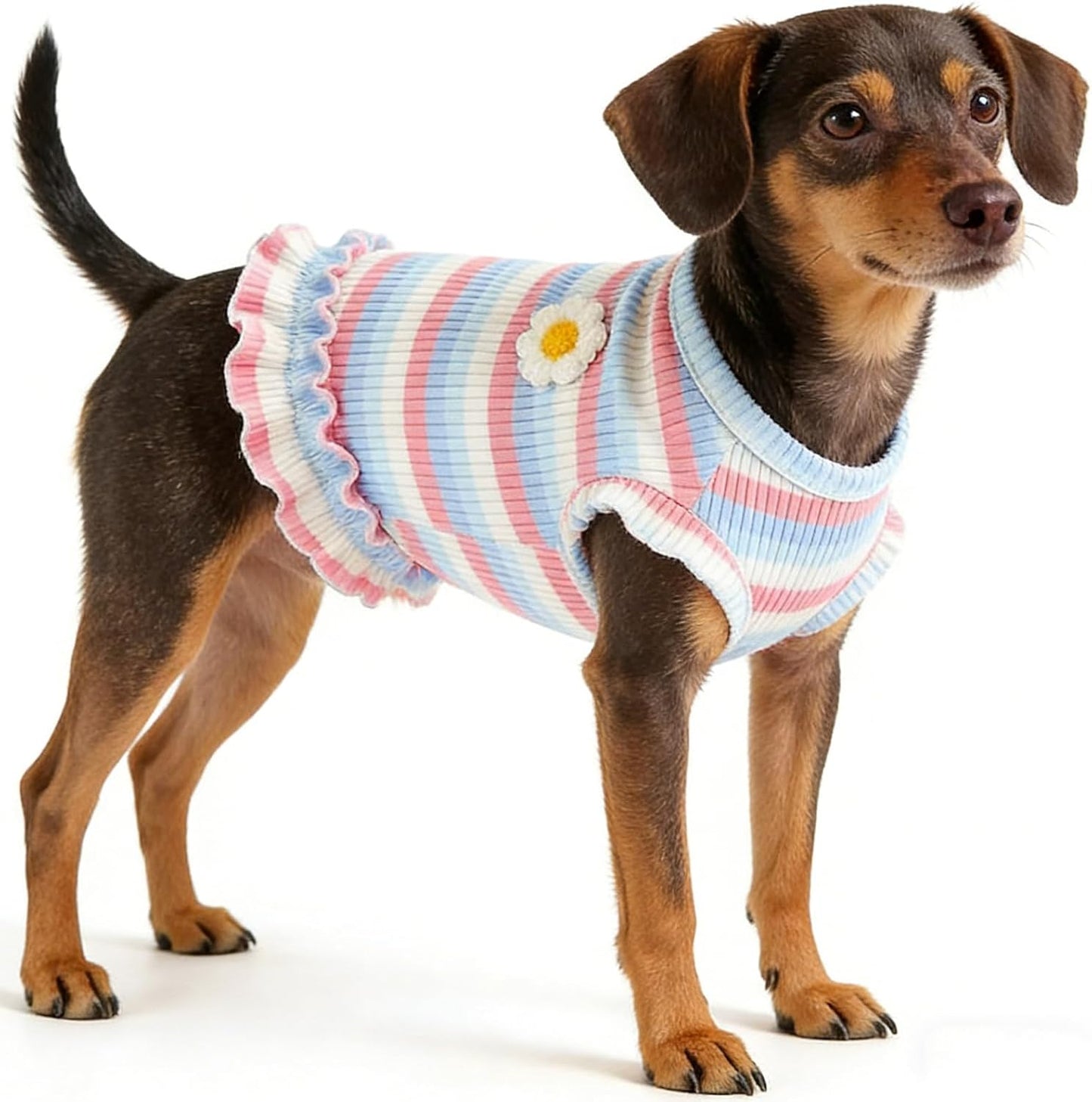 2 Pack Dog Clothes for Small Dogs Cats Cotton Rainbow Striped Dog T Shirt with Ruffled Hem, Soft Breathable Puppy Vest Spring Summer Pet Tank Tops, Sunflowers S