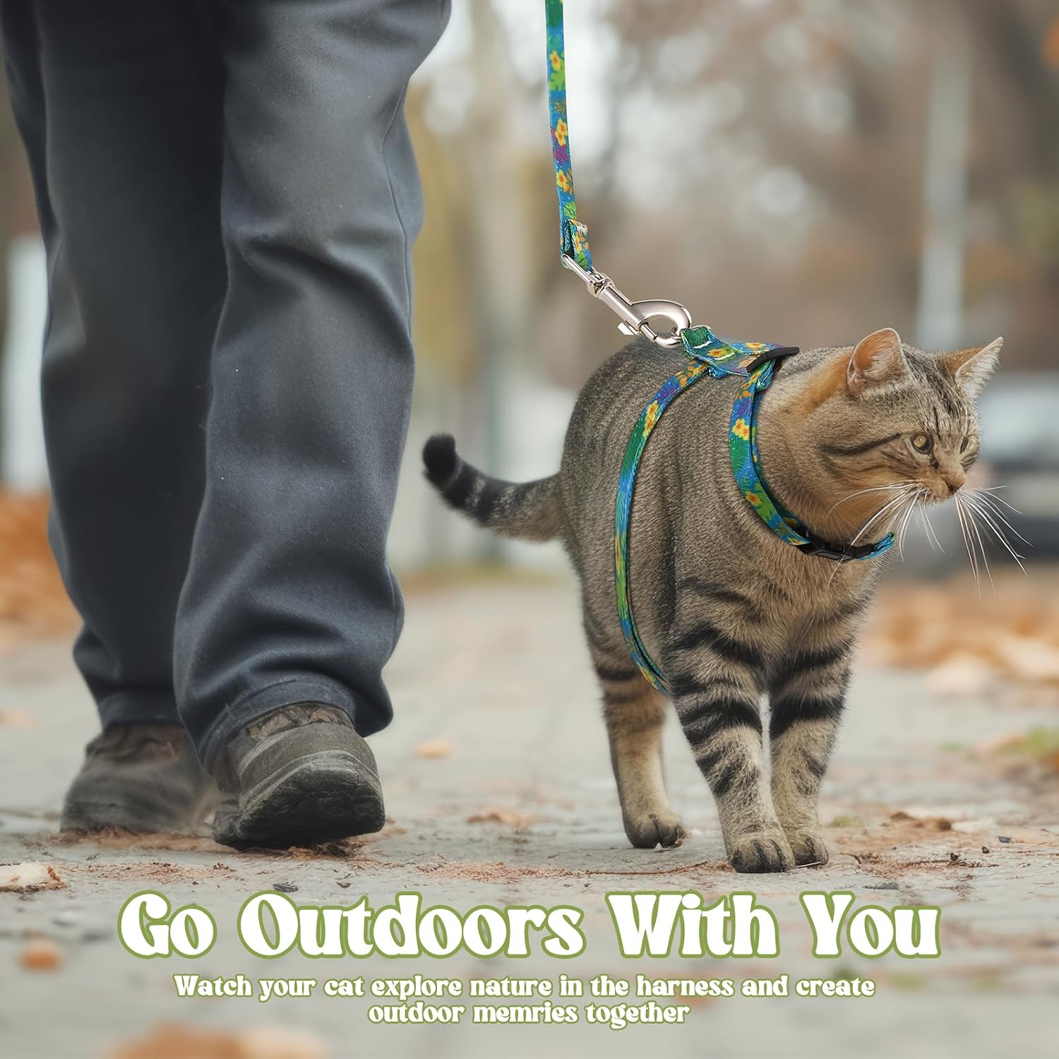 2 Pack Cat Harness and Leash Set - Escape Proof Adjustable Cat Harness, Outdoor Travel Harness for Cats & Kittens Multicolor